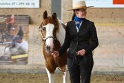 22-APHA HOTC_156